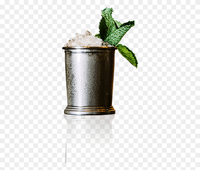 323x652 Canton Julep Vodka And Tonic, Potted Plant, Plant, Vase HD PNG Download