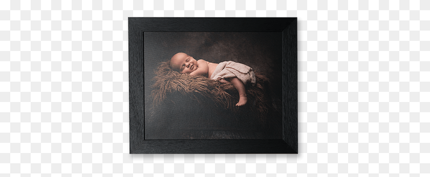 351x287 Canvas Hermit Crab, Newborn, Baby, Person HD PNG Download