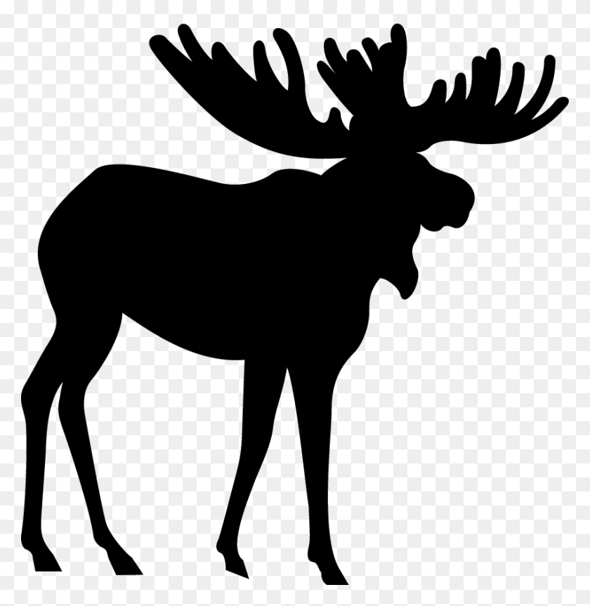 850x876 Canvas Print Art Clip Design Transprent Free Moose Silhouette Transparent, Gray, World Of Warcraft HD PNG Download