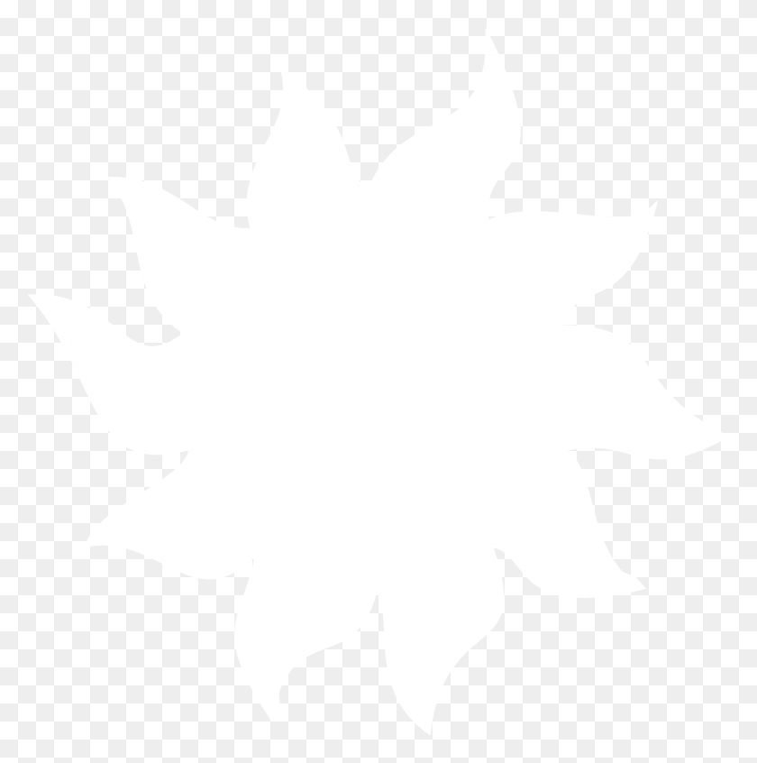 2173x2191 Canyon Haifa Logo Black And White Johns Hopkins Logo White, Leaf, Plant, Person HD PNG Download