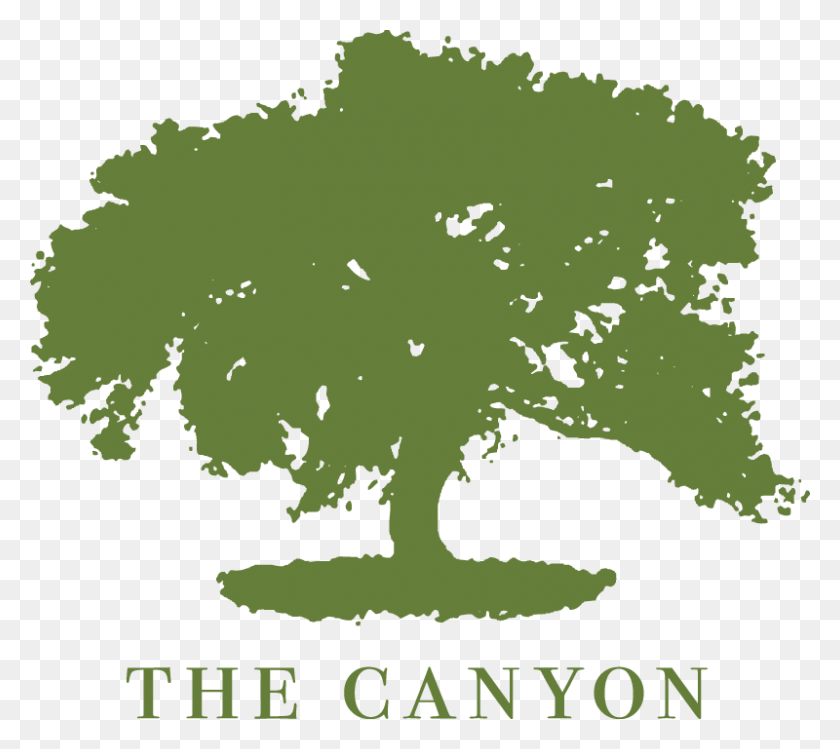 800x707 Canyon Malibu, Plant, Green, Map HD PNG Download