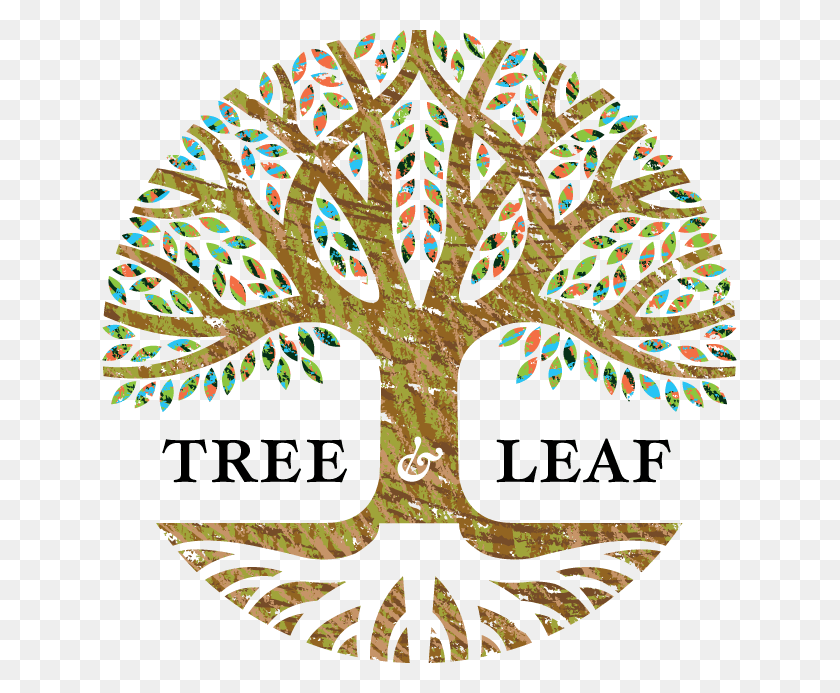 635x633 Capaces Leadership Institute, Tree, Plant HD PNG Download
