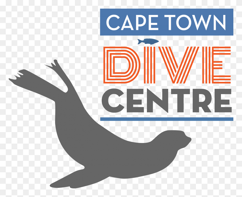 2789x2241 Cape Town Dive Centre California Sea Lion, Animal, Mammal, Sea Life HD PNG Download