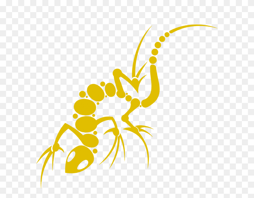 601x594 Capri Sun Black Graphic Design, Ant, Insect, Invertebrate HD PNG Download