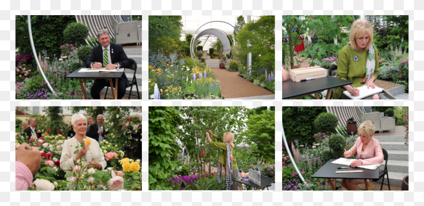 1311x586 Capture Chelsea Yard, Outdoors, Garden, Person HD PNG Download