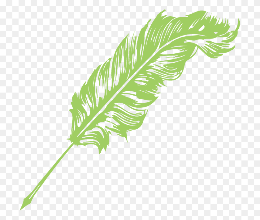 712x653 Capture Feather Illustration, Plant, Food, Bird HD PNG Download
