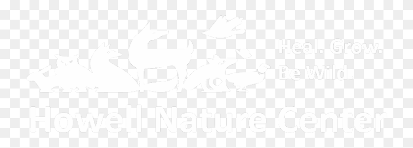 736x241 Captured Sun, Text, Bird, Animal Descargar Hd Png