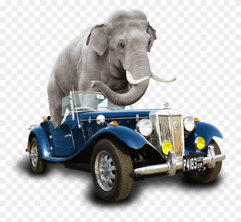 1493x1369 Car Elephant Fin, Vehicle, Transportation, Automobile HD PNG Download