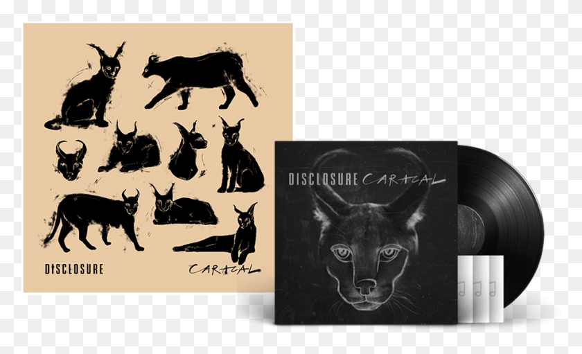 919x532 Caracal Album Poster Bull, Cat, Pet, Mammal HD PNG Download