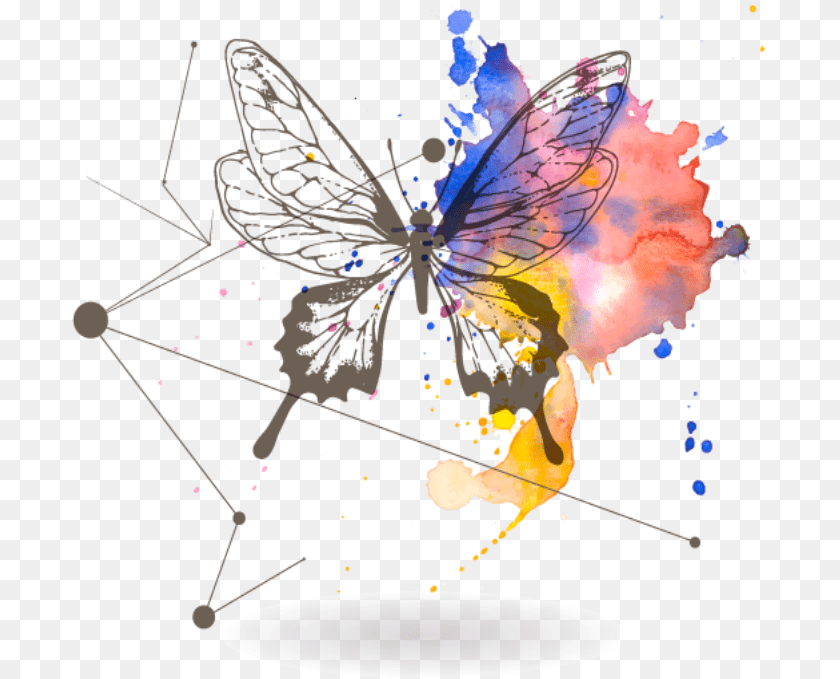 Caractersticas Del Efecto Mariposa Tqc Flash Flash Cc, Art, Graphics Sticker PNG