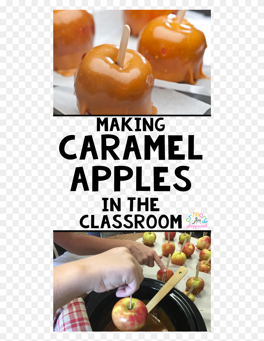 509x1025 Caramel Apples In The Classroom3 Superfood, Apple, Fruit, Plant HD PNG Download
