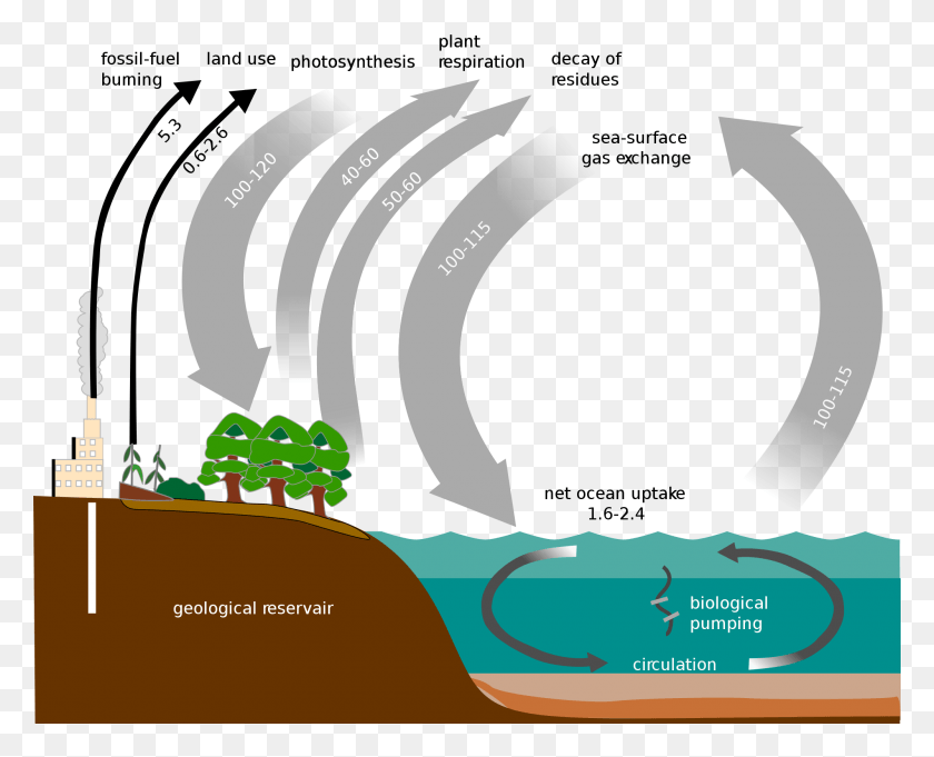 2000x1593 Carbon Cycle Simple Diagram Svg Carbon Cycle In The Pacific Northwest, Nature, Outdoors, Food HD PNG Download