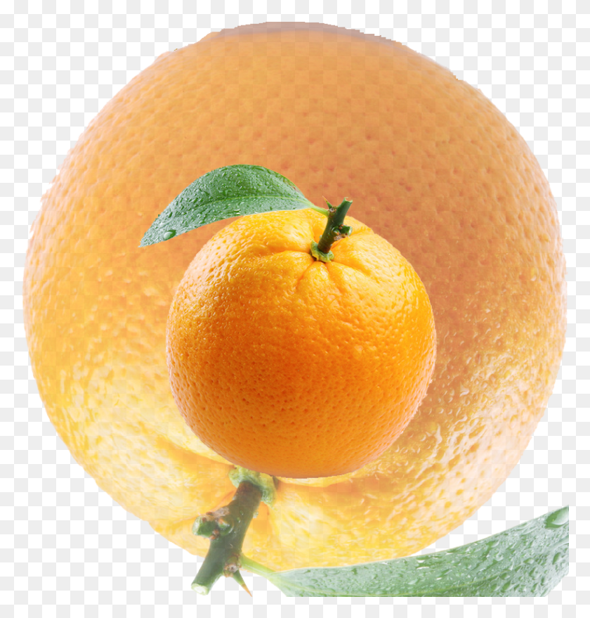 820x861 Card Design Champion Clementine, Orange, Citrus Fruit, Fruit HD PNG Download
