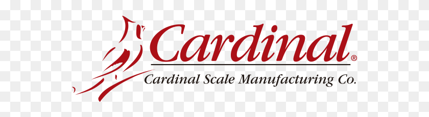 559x170 Cardinal Calligraphy, Text, Alphabet, Word HD PNG Download