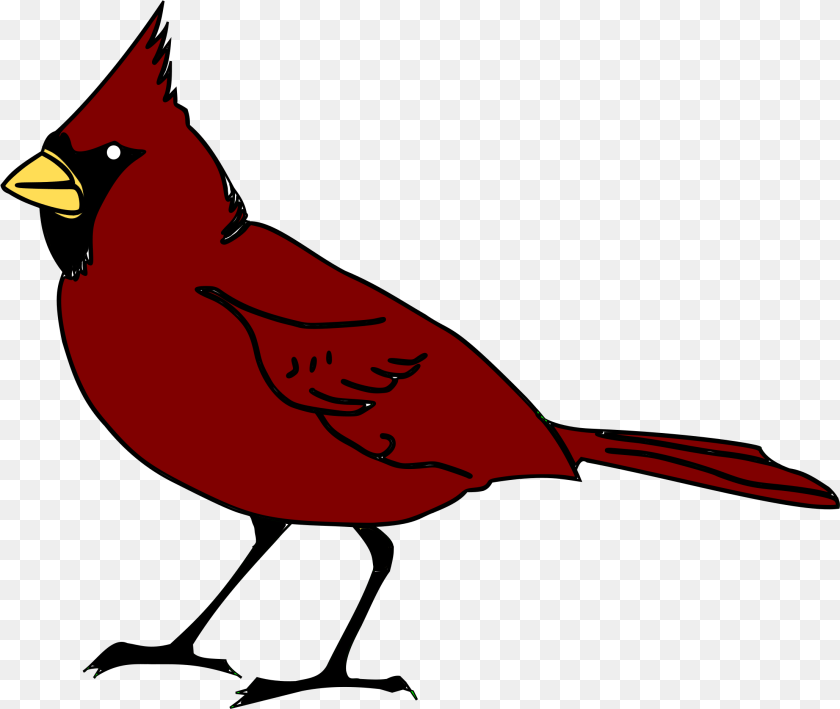 2216x1870 Cardinal Red Robin Bird Cartoon, Animal Sticker PNG