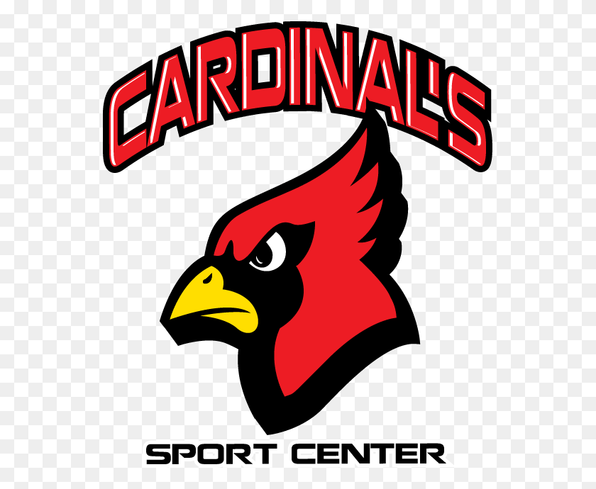 549x630 Cardinals Logo Cardinals Sport Center Logo, Bird, Animal, Beak HD PNG Download