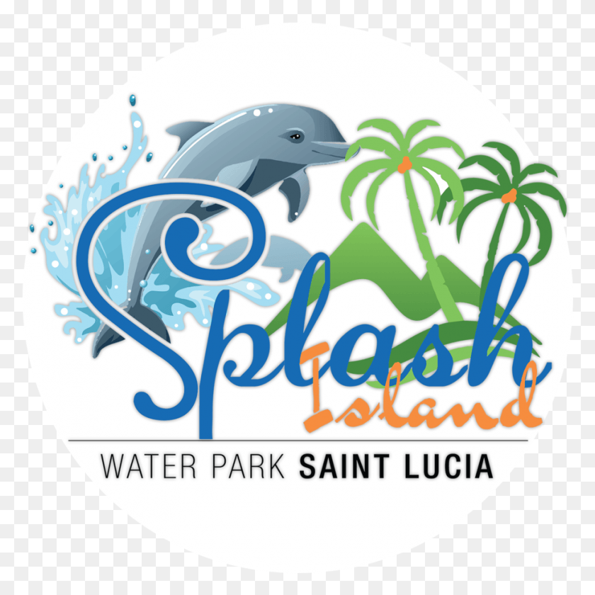 915x915 Caribbean Water Park Saint Lucia, Sea Life, Animal, Helmet HD PNG Download