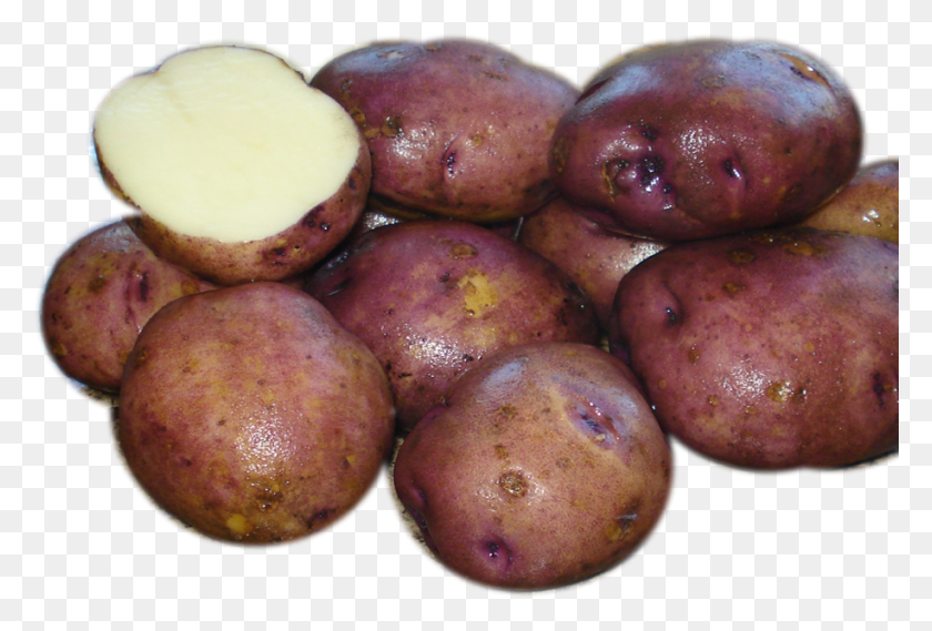 916x598 Caribe Potato, Plant, Vegetable, Food HD PNG Download