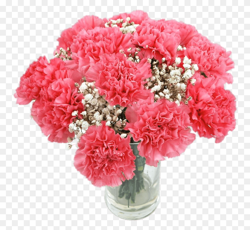 755x713 Carnation Bouquet Carnation Flowers, Plant, Flower, Blossom HD PNG Download