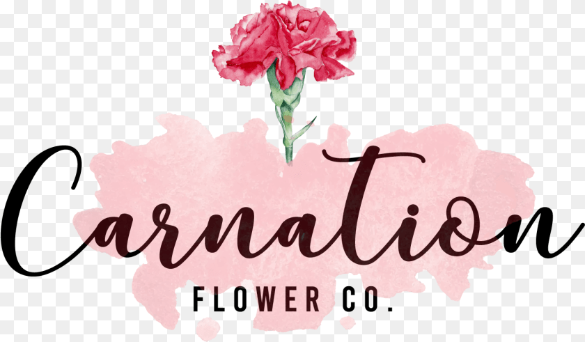 Carnation Final One Cell In The Sea, Flower, Plant, Rose, Petal Clipart PNG