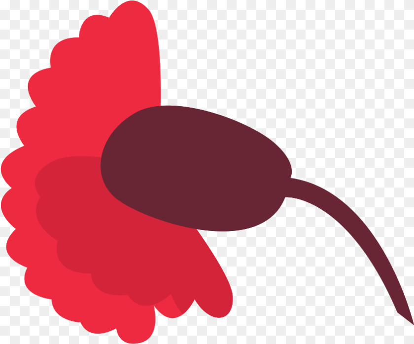 844x700 Carnation Flower With Clip Art, Petal, Plant, Computer Hardware, Electronics Clipart PNG