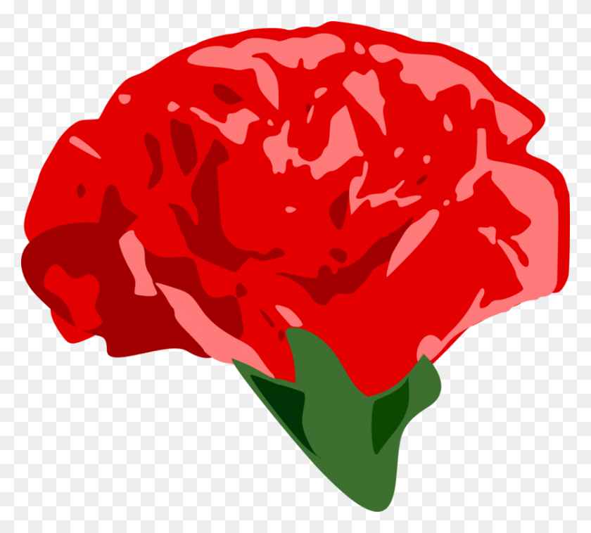 837x750 Descargar Png / Claveles De Jardín De Rosas Png