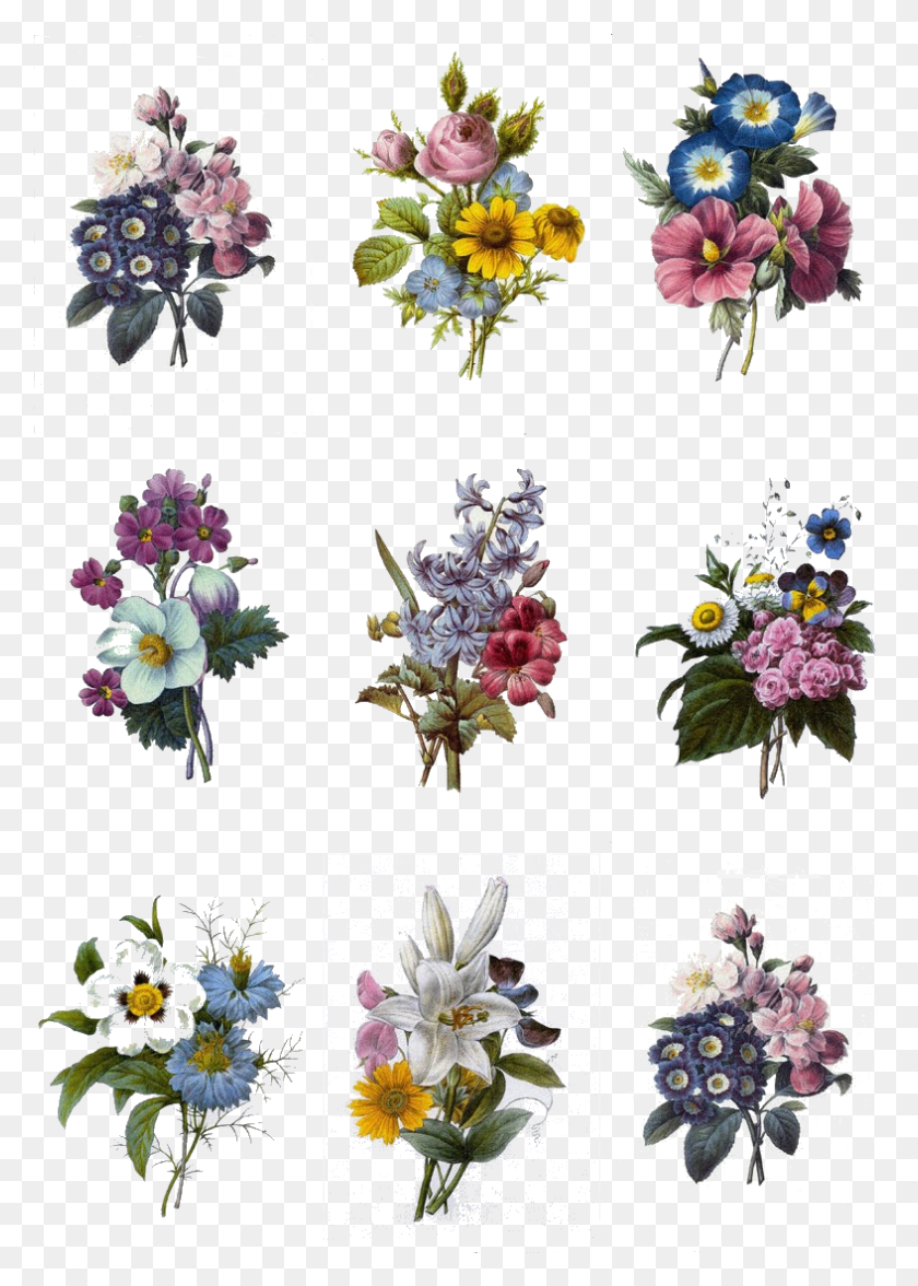 787x1127 Carnation Tattoo Flower Bouquet Tattoo Gladiolus, Floral Design, Pattern, Graphics Descargar Hd Png