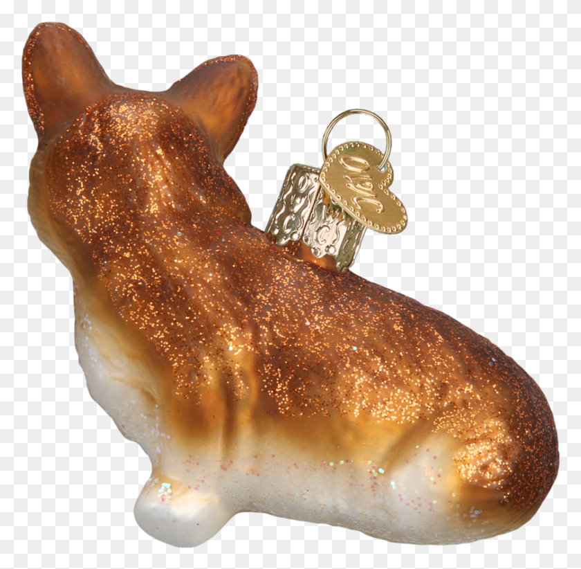 841x822 Carnivore, Animal, Gold, Conch HD PNG Download