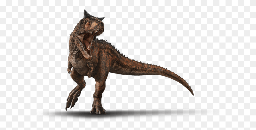 616x368 Carnotaurus Lesothosaurus, Dinosaurio, Reptil, Animal Hd Png