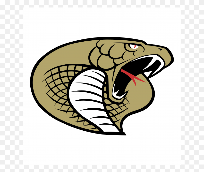 651x651 Descargar Png Carolina Cobras Logo Twiggs County High School Logo, Animal, Tortuga Hd Png