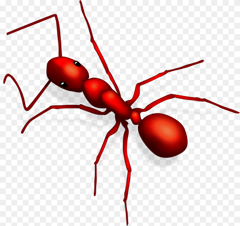 Carpenter Ant, Animal, Insect, Invertebrate, Spider Transparent PNG
