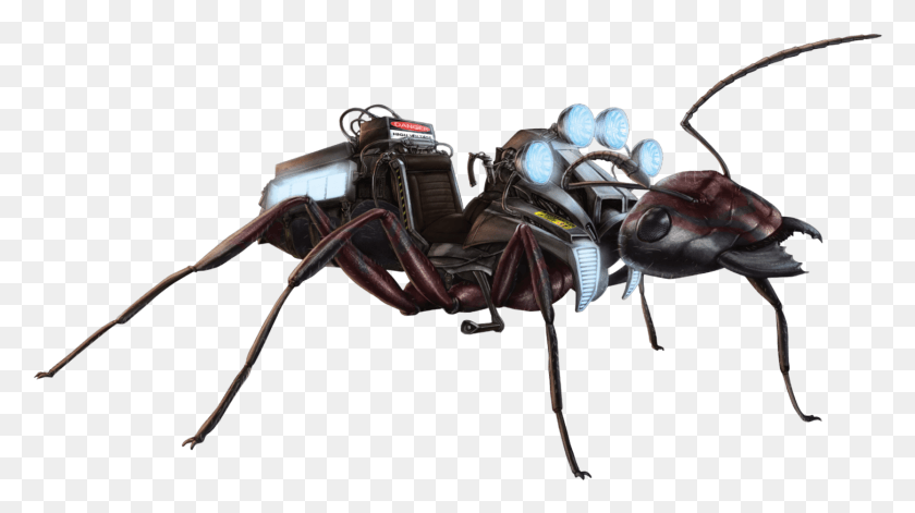 1453x766 Carpenter Ant Fh Carpenter Ant, Insect, Invertebrate, Animal HD PNG Download