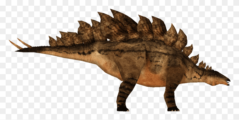 1151x534 Ковер Стегозавр Прозрачный, Динозавр, Рептилия, Животное Png Скачать