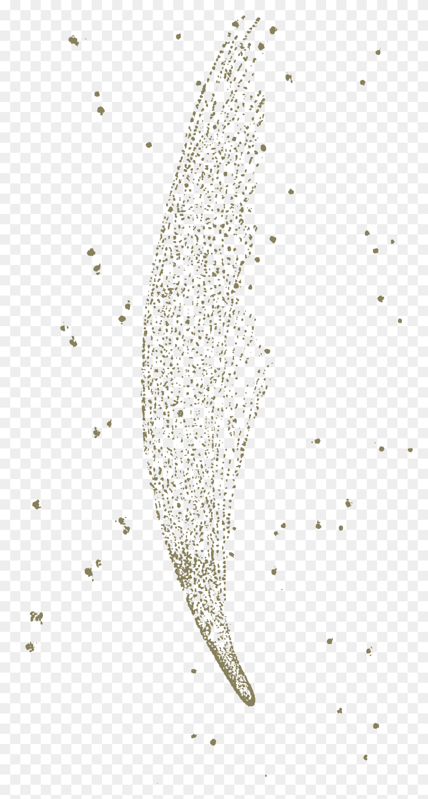 1328x2569 Кэрролл Фантасмагория Донати Комета Иллюстрация, На Открытом Воздухе, Природа, Астрономия Hd Png Скачать