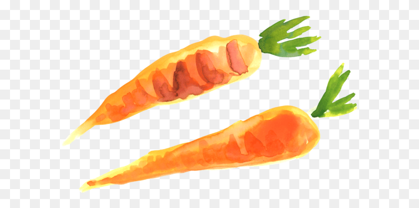 595x358 Морковь, Растение, Овощи, Еда Hd Png Скачать