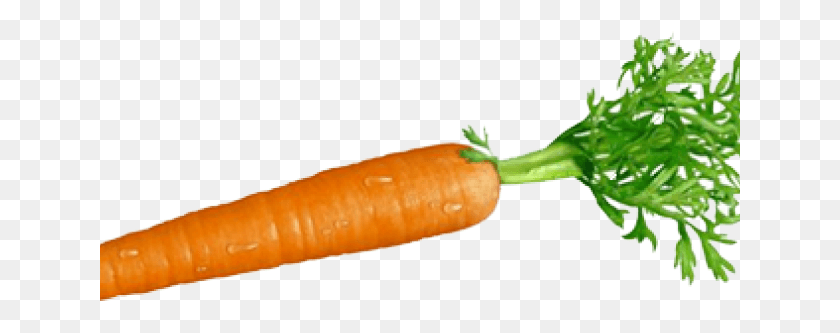 641x273 Морковь, Растение, Овощи, Еда Hd Png Скачать