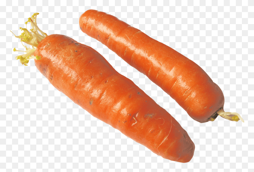1503x986 Carrot, Plant, Vegetable, Food HD PNG Download