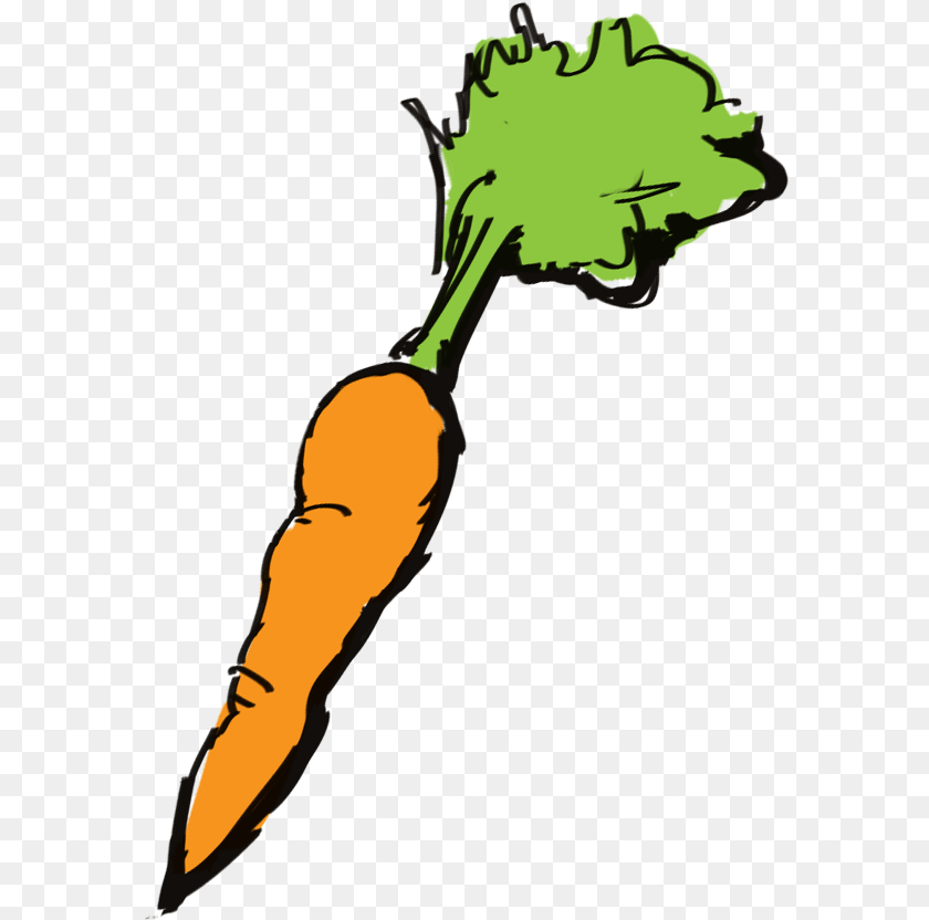 588x832 Carrot, Food, Plant, Produce, Vegetable Sticker PNG