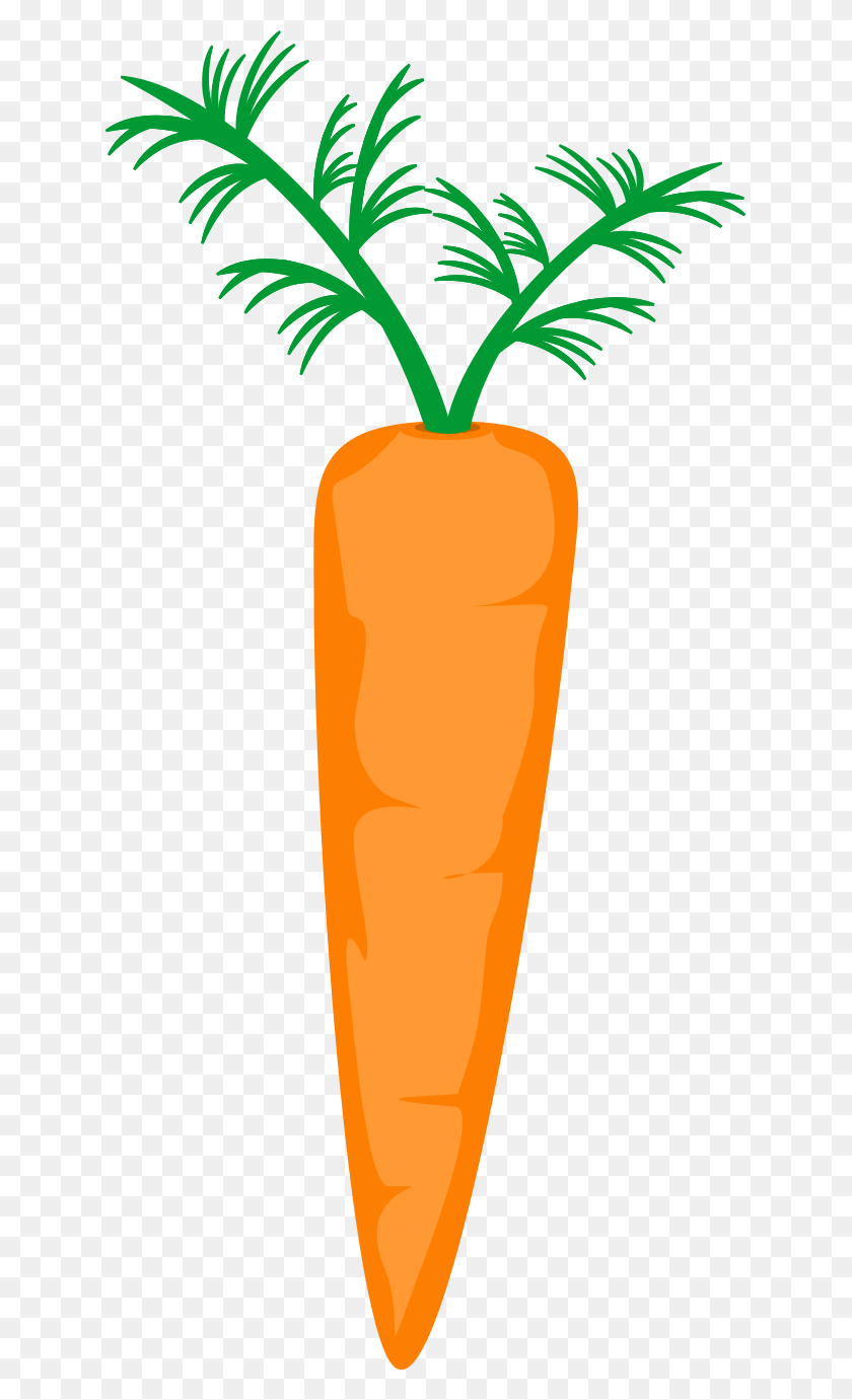 631x1321 Carrot Clip Art, Plant, Vegetable, Food HD PNG Download