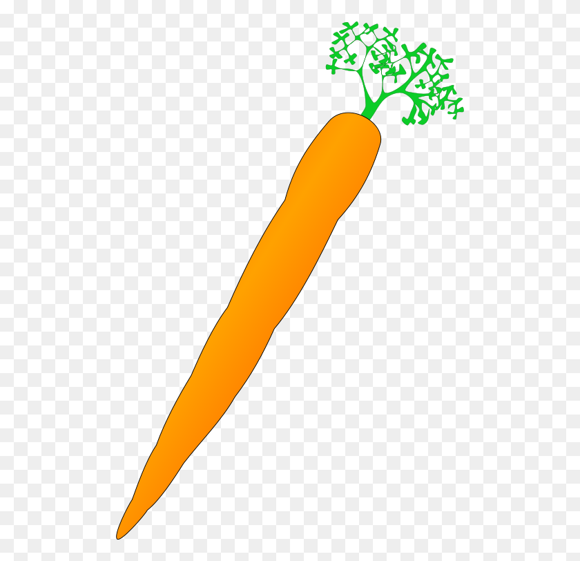 505x752 Carrot Clip Art, Plant, Vegetable, Food HD PNG Download