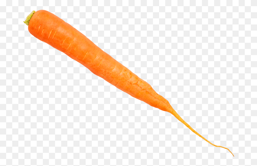 692x483 Морковный Гребень, Растение, Овощи, Еда Hd Png Скачать