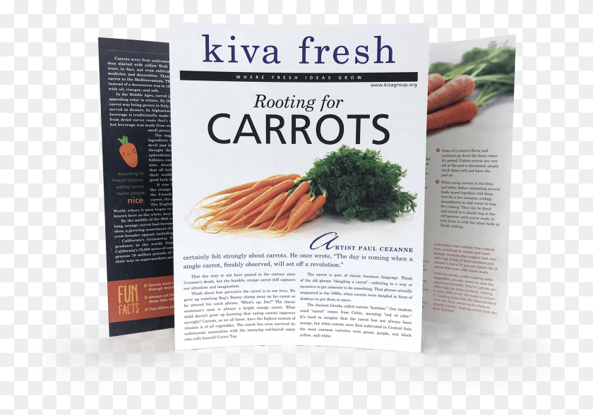1850x1253 Carrot Flyer, Poster, Paper, Advertisement HD PNG Download