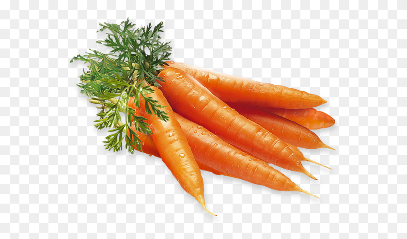 570x433 Морковь Зеленые Укусы Кафе Сан-Хосе Приготовление Еды Фитнес Gulrtter Gulrot, Хот-Дог, Еда, Растение Hd Png Скачать