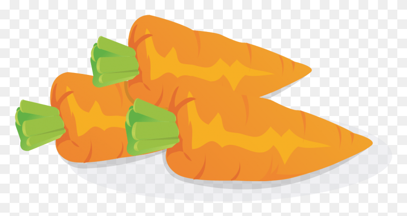 1165x579 Carrot Icon Vegetable, Plant, Food, Dish HD PNG Download