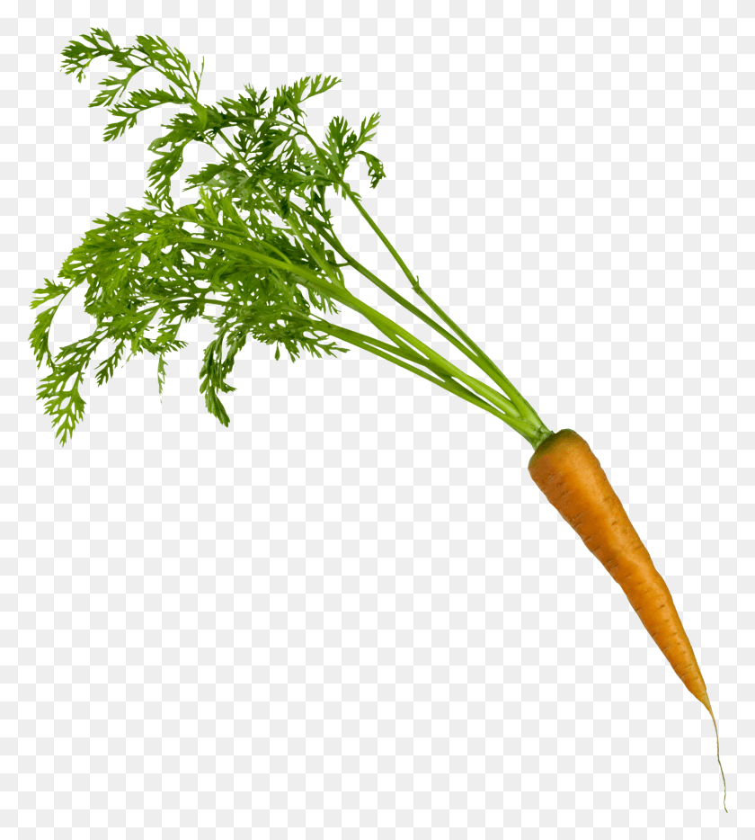 3178x3564 Carrot Image Morkovka Na Prozrachnom Fone, Plant, Vegetable, Food HD PNG Download