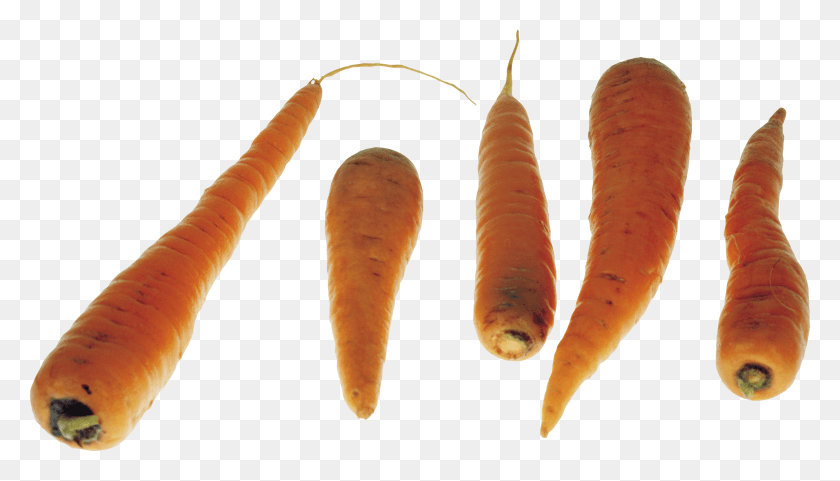 3001x1620 Carrots Image Carrot, Vegetable, Plant, Food HD PNG Download