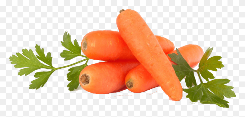 1523x669 Морковь Фиолетовая Морковь Красная, Овощи, Растения, Еда Hd Png Скачать