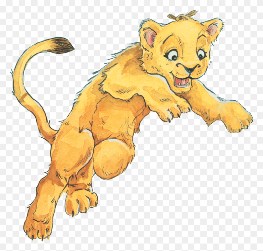 800x764 Cartoon, Lion, Wildlife, Mammal HD PNG Download