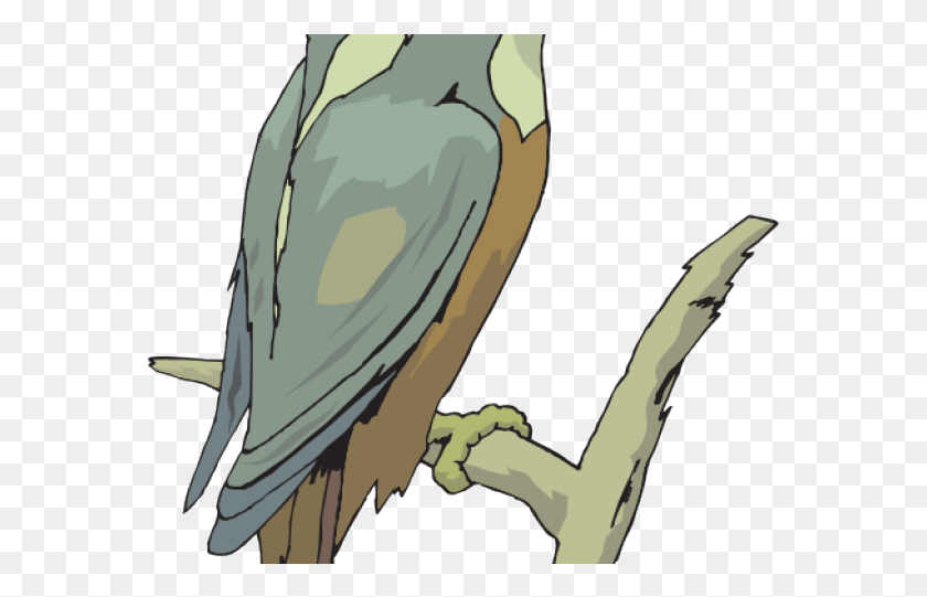 573x481 Cartoon, Bird, Animal HD PNG Download