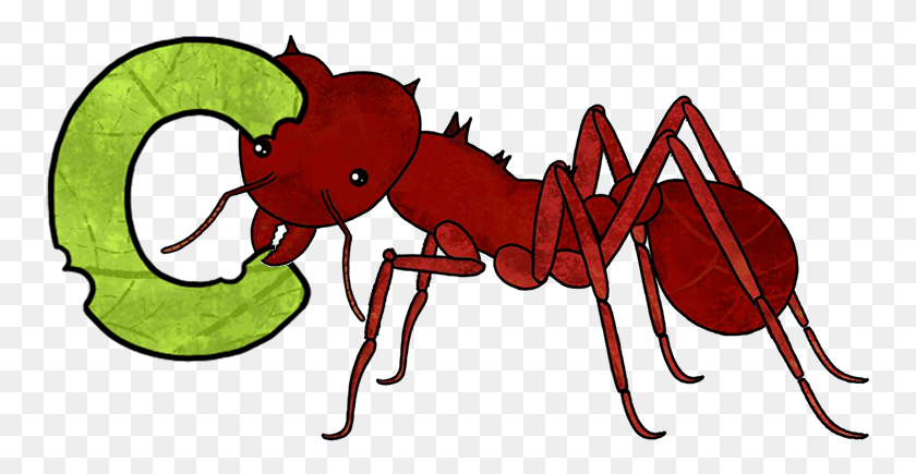757x375 Cartoon, Ant, Insect, Invertebrate HD PNG Download
